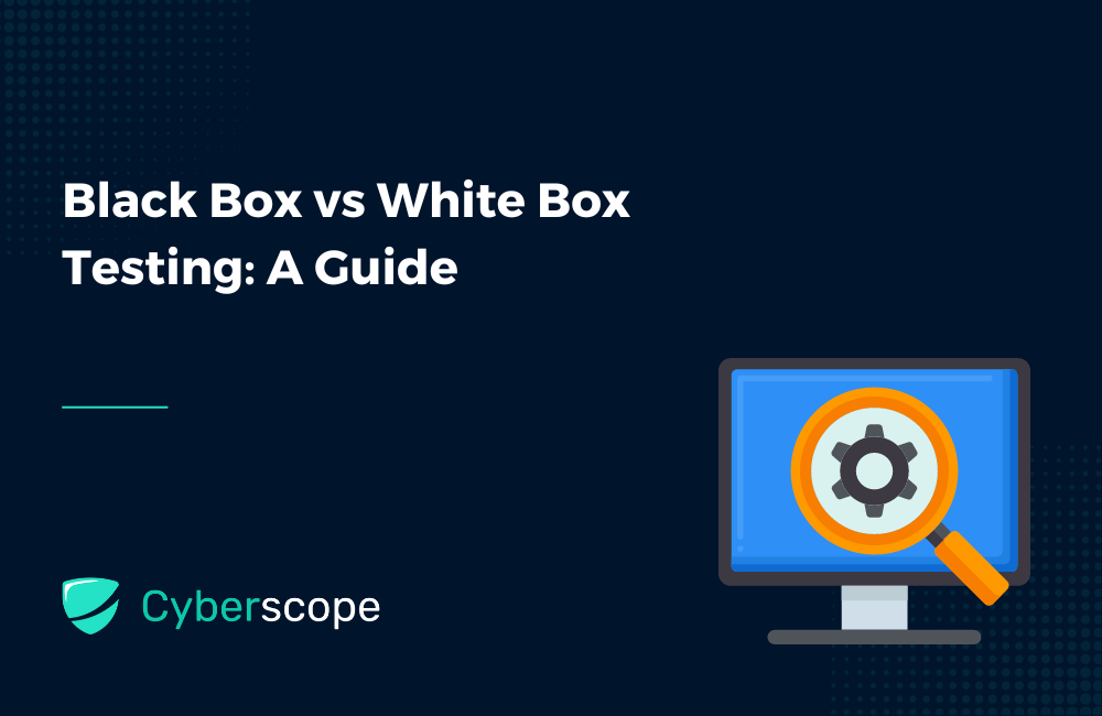 Vs Box Black Box vs White Box Testing: A Guide